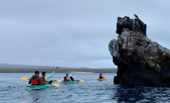 Passengers on a Lindblad Expeditions Galapagos take a kayaking excursion in 2022. Lindblad Expeditions canceled its upcoming Jan. 12 and Jan. 13 Galapagos sailings on the National Geographic Endeavour II and National Geographic Islander II, respectively.