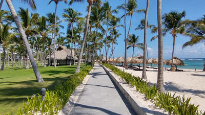 The path along the beach at the Club Med Punta Cana.